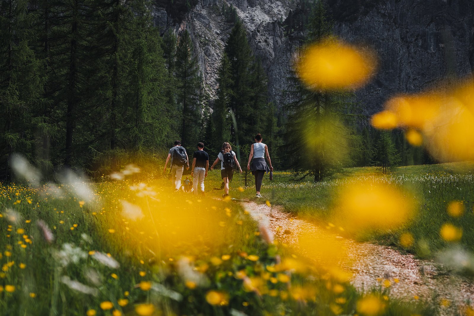 summer.sections.0.title